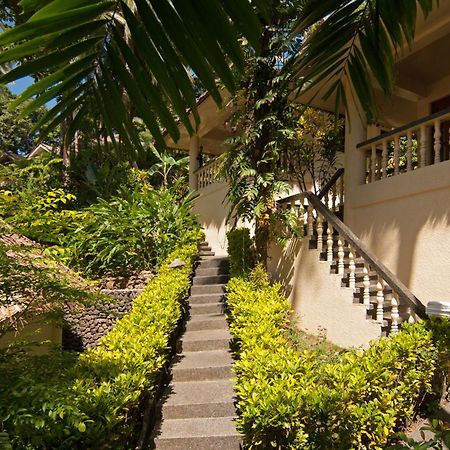 Easy Diving And Beach Resort Sipalay Luaran gambar